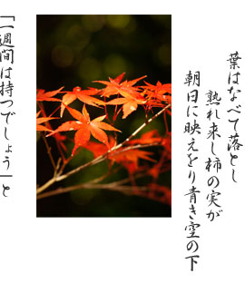 ̃bZ[W