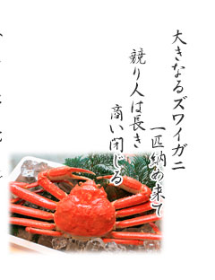 ̃bZ[W